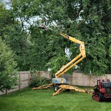 Best Emergency Tree Removal  in Myrtletown, CA