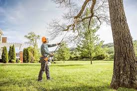 Best Tree Preservation Services  in Myrtletown, CA